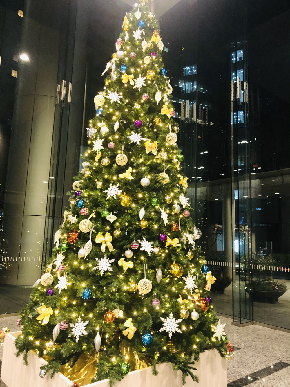 2020年赤坂•六本木イルミネーションランの写真4