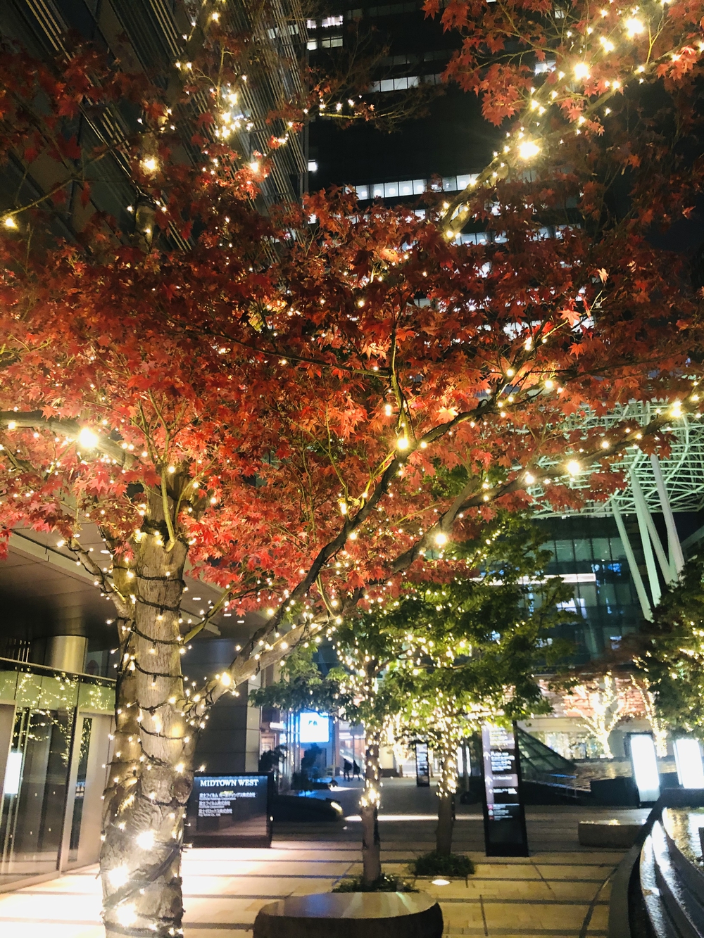 2020年赤坂•六本木イルミネーションランの写真5