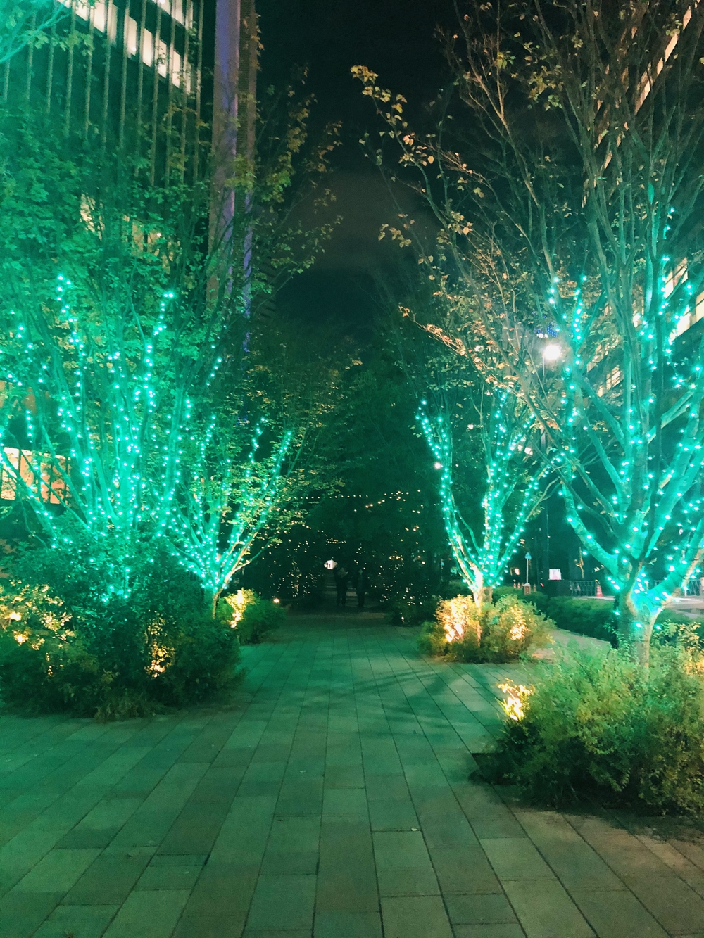 2020年赤坂•六本木イルミネーションランの写真6