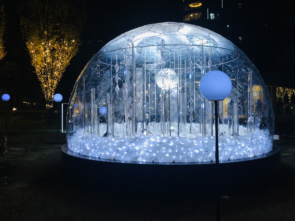 2020年赤坂•六本木イルミネーションランの写真7