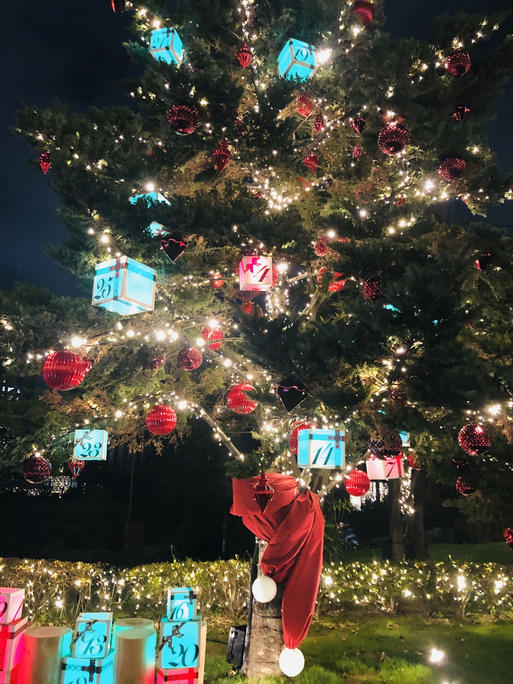 2020年赤坂•六本木イルミネーションランの写真8