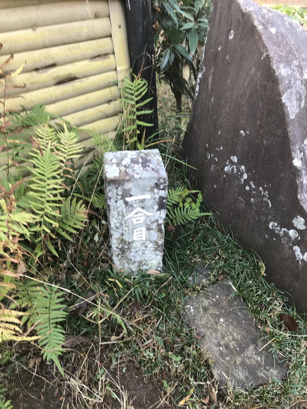 狭山丘陵トトロの森巡りの写真4