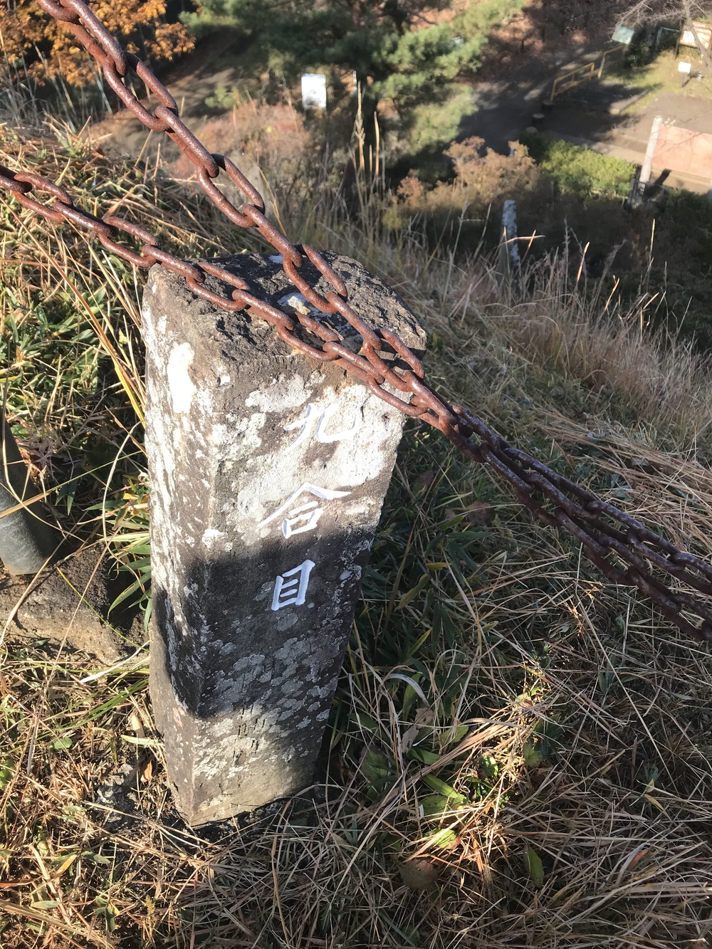 狭山丘陵トトロの森巡りの写真5