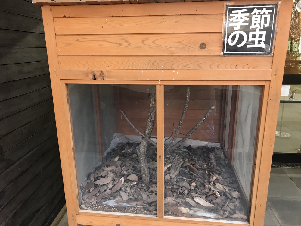 狭山丘陵トトロの森巡りの写真7