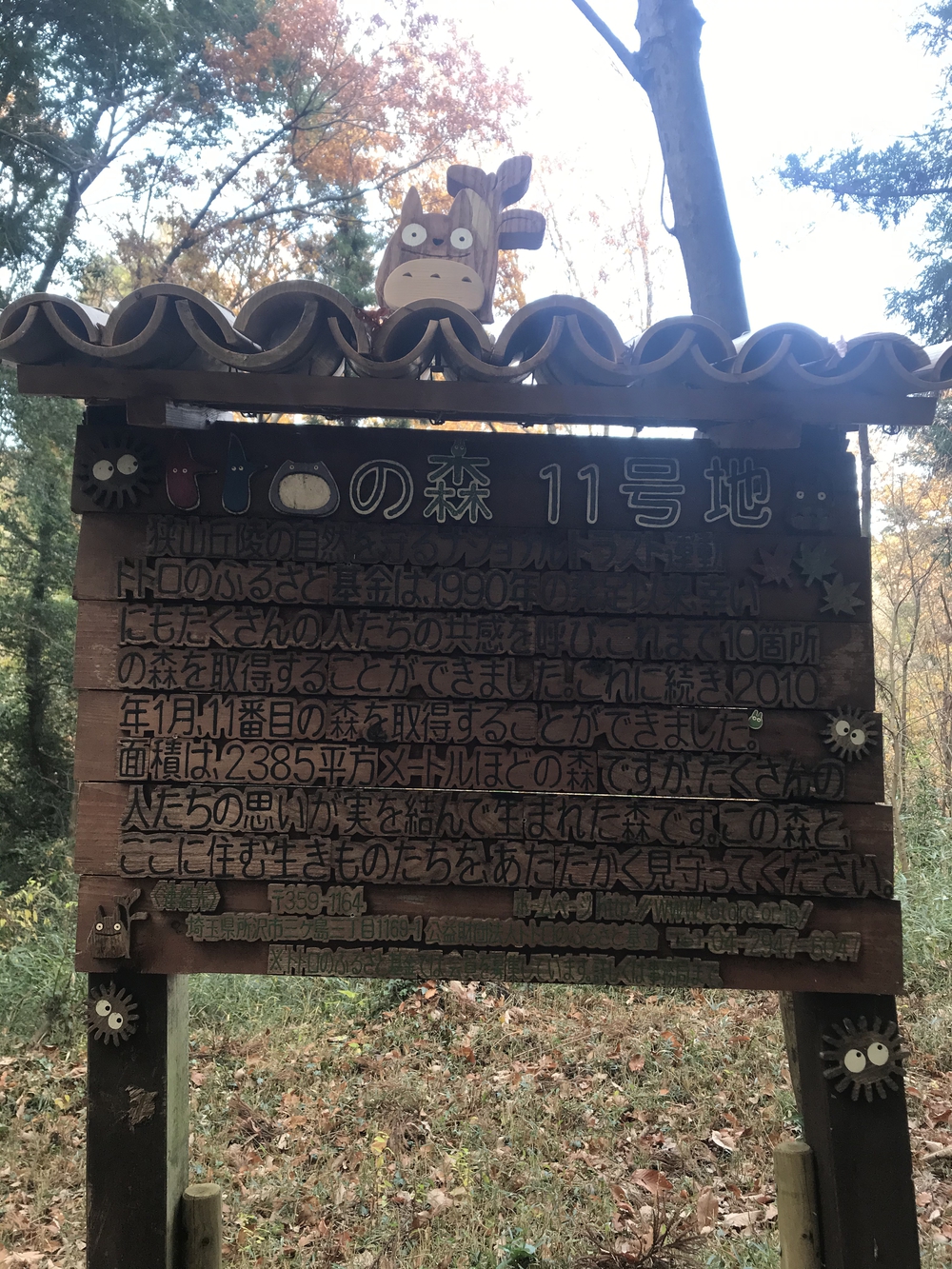 狭山丘陵トトロの森巡りの写真8