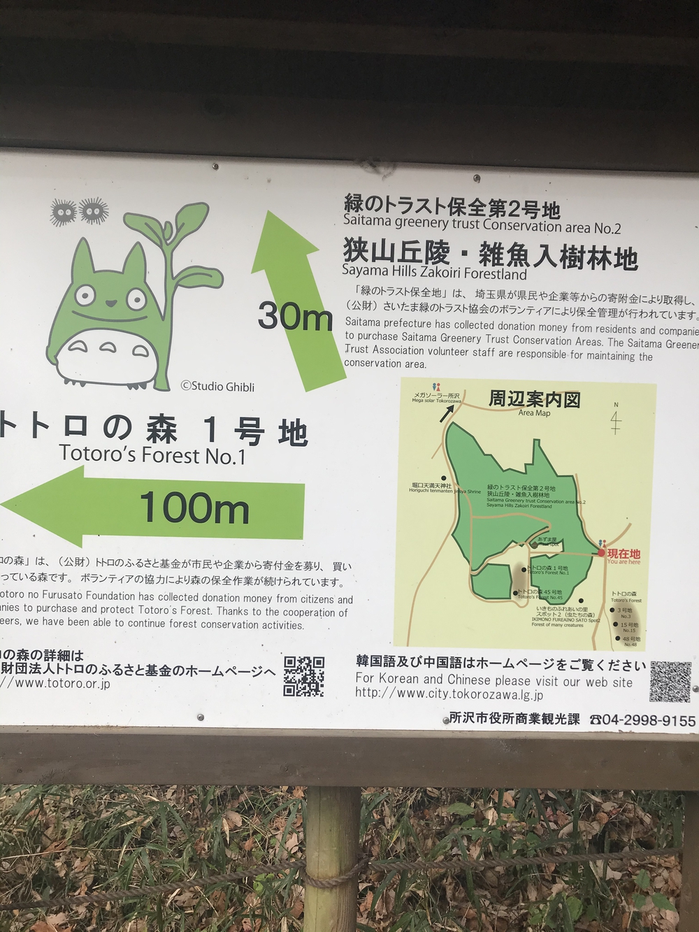 狭山丘陵トトロの森巡りの写真11