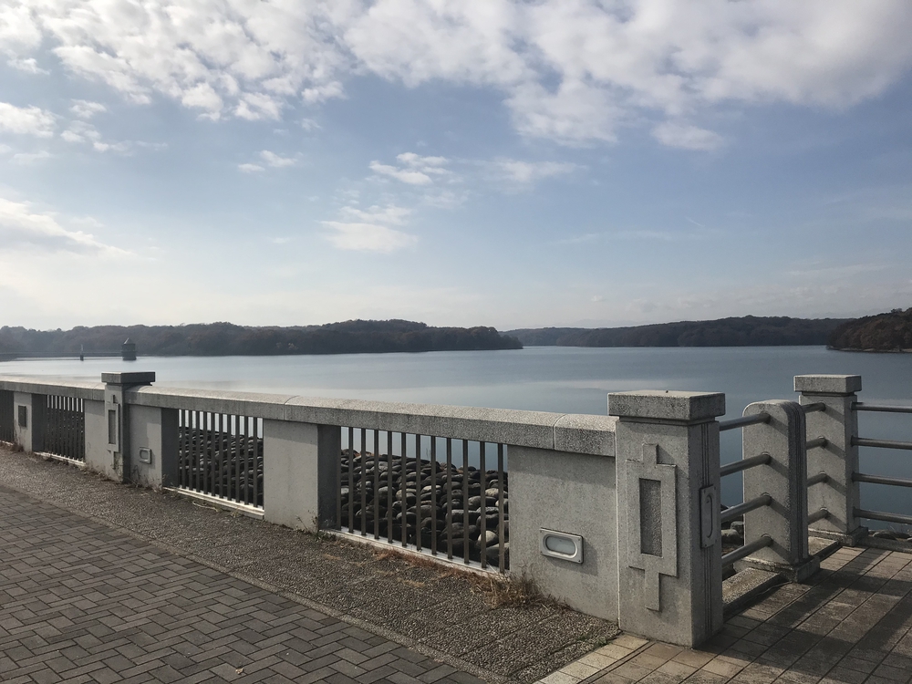 狭山丘陵トトロの森巡りの写真12