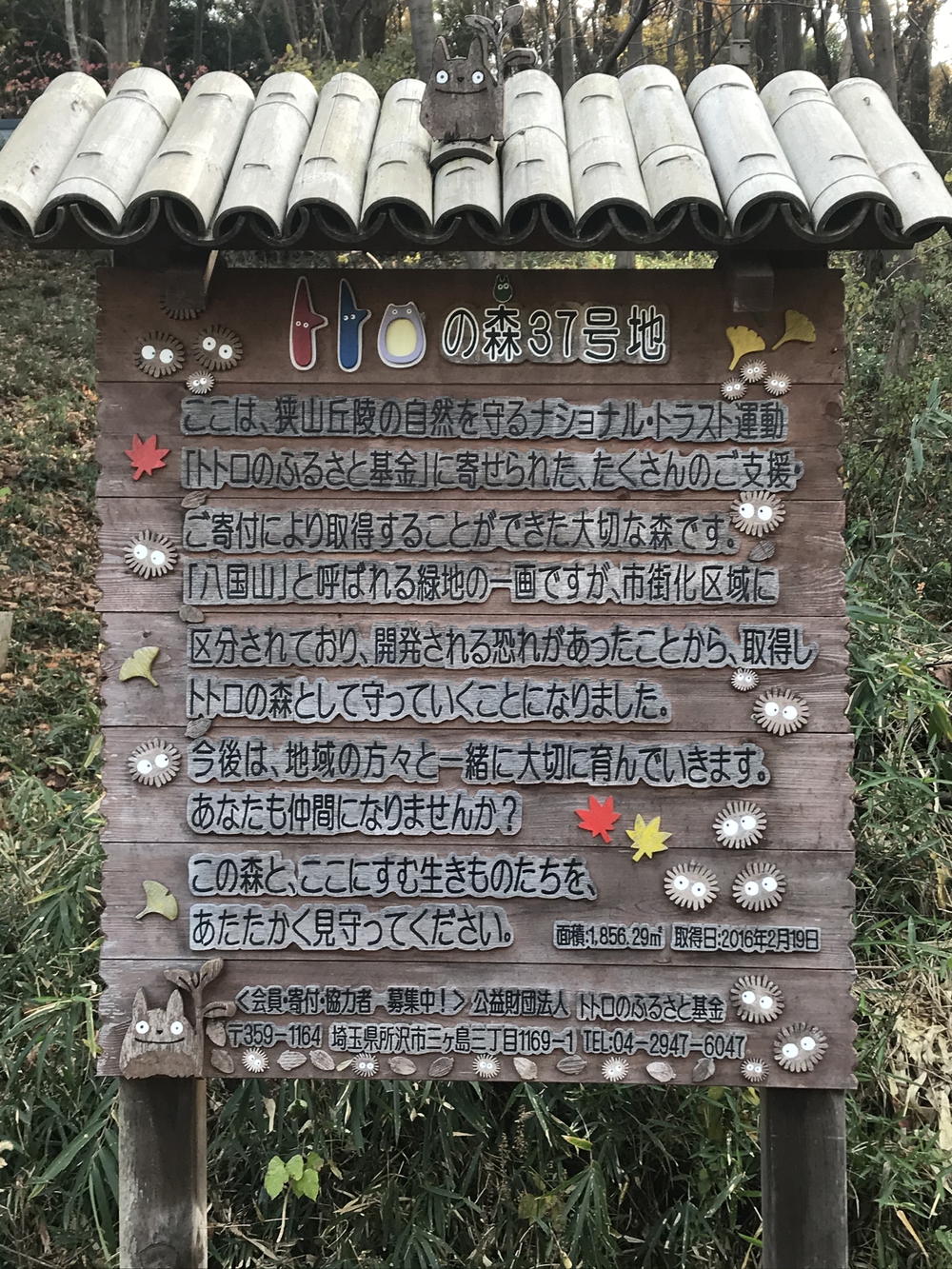 狭山丘陵トトロの森巡りの写真13