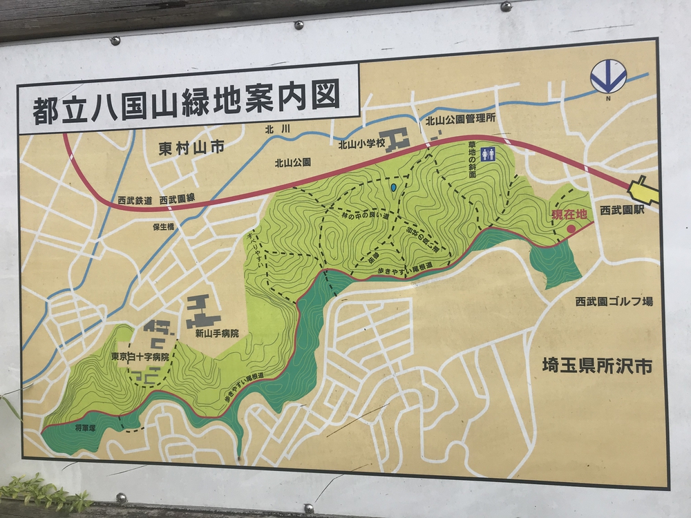 狭山丘陵トトロの森巡りの写真14