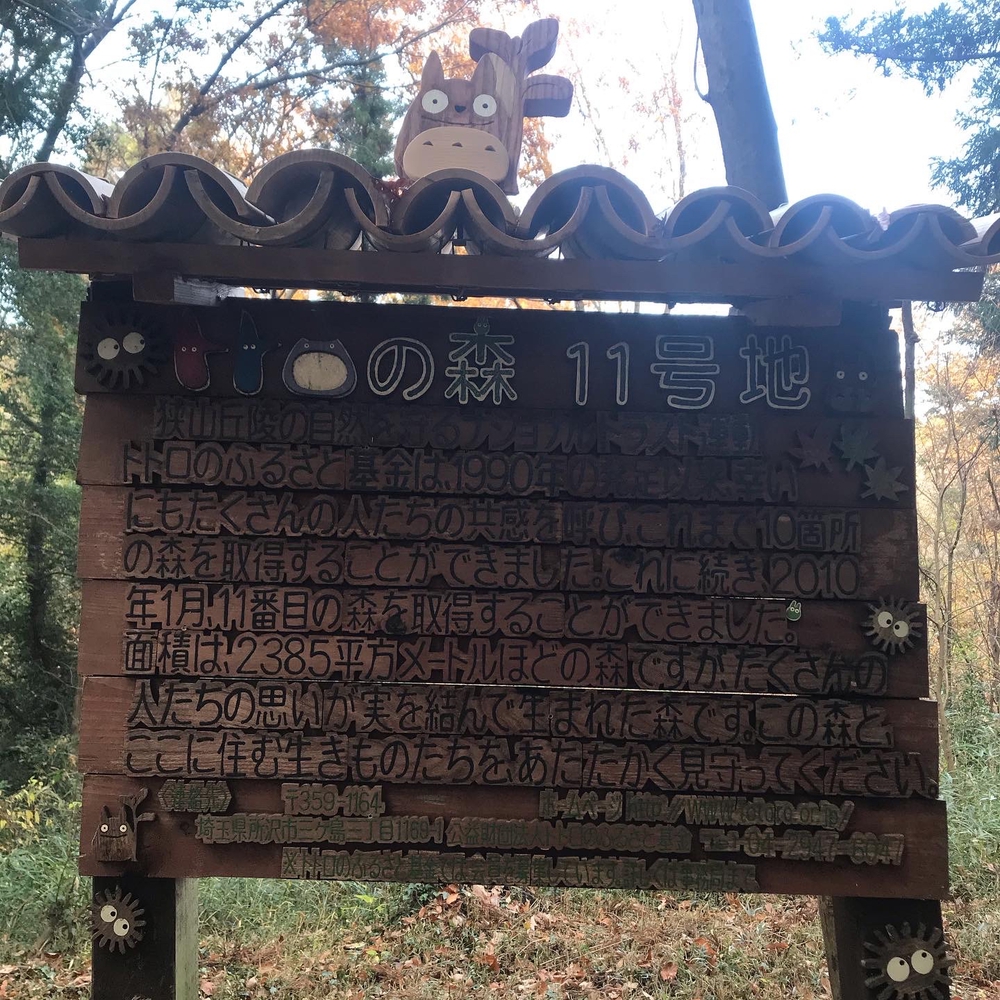 狭山丘陵トトロの森巡りの写真15