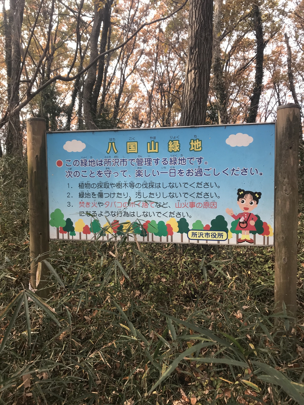 狭山丘陵トトロの森巡りの写真17