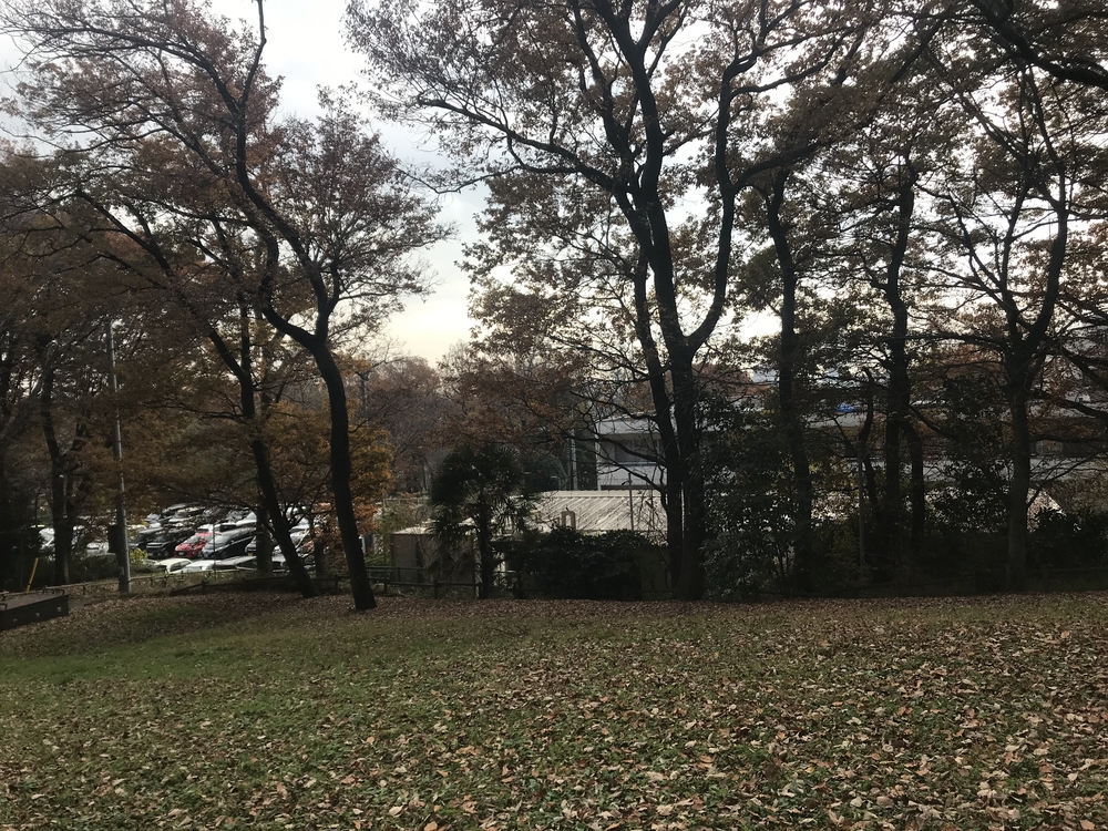 狭山丘陵トトロの森巡りの写真18