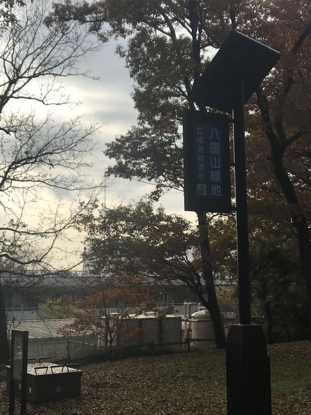 狭山丘陵トトロの森巡りの写真19