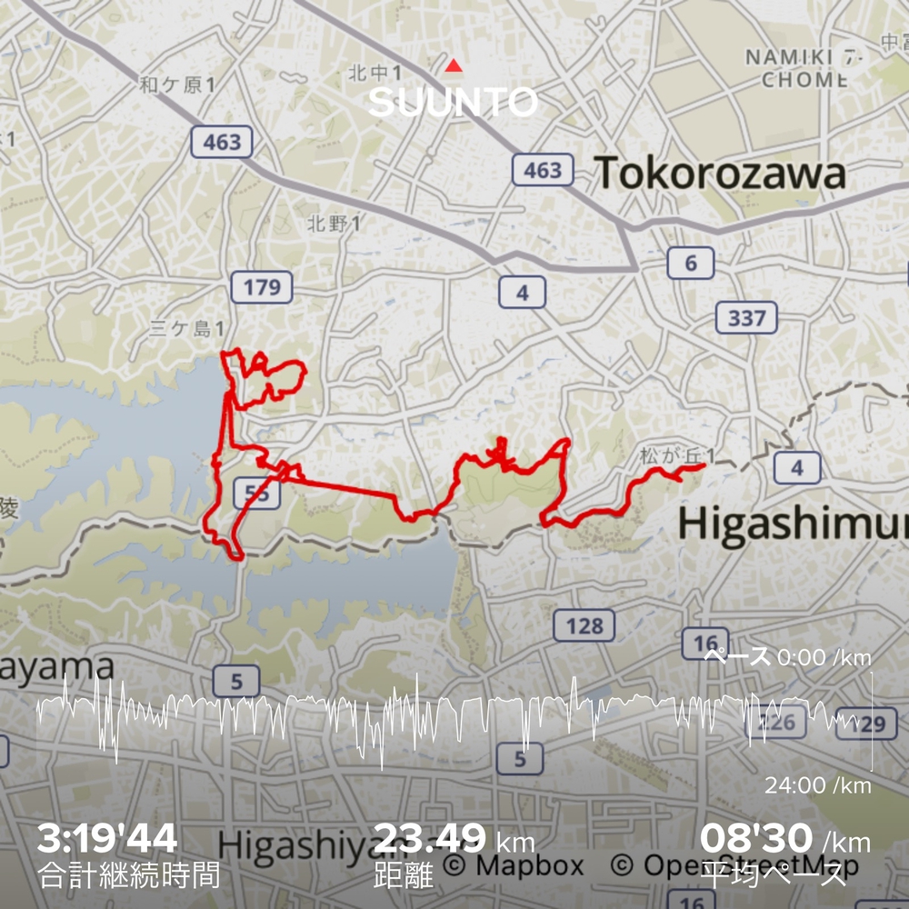 狭山丘陵トトロの森巡りの写真20