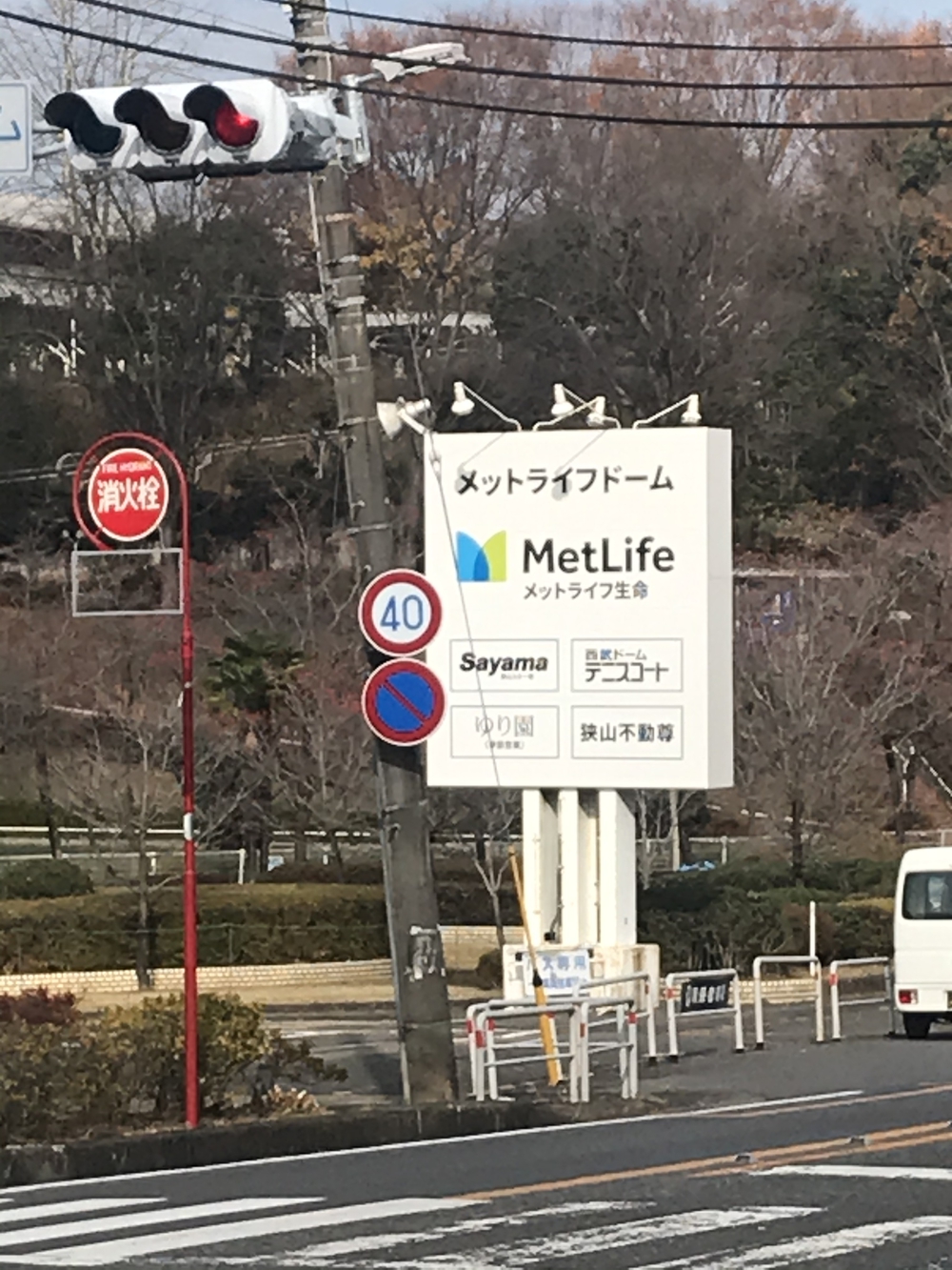 狭山丘陵トトロの森巡りの写真21