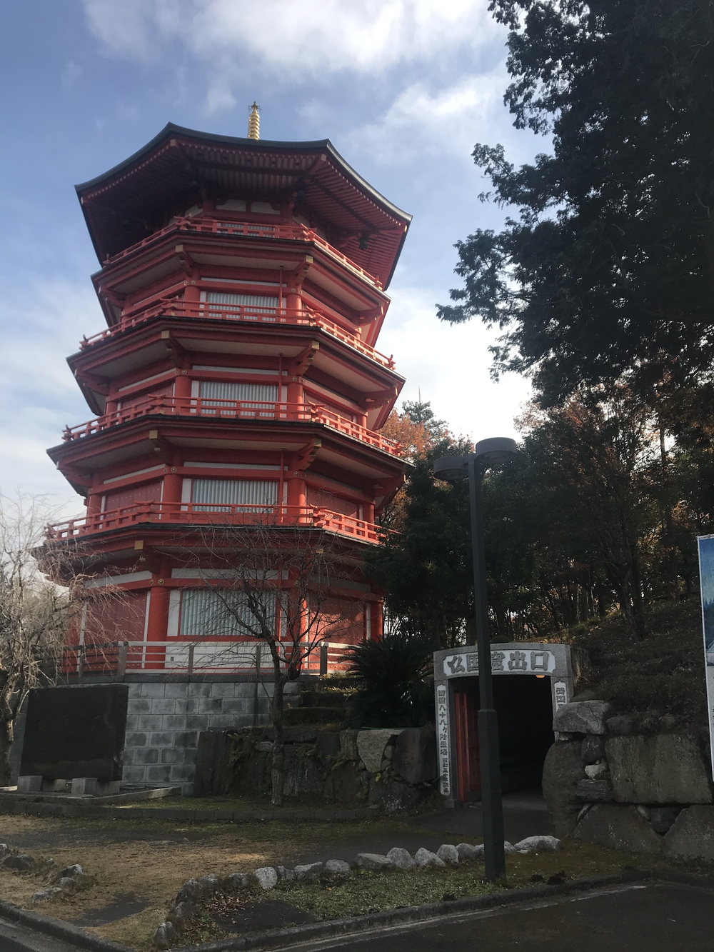 狭山丘陵トトロの森巡りの写真22