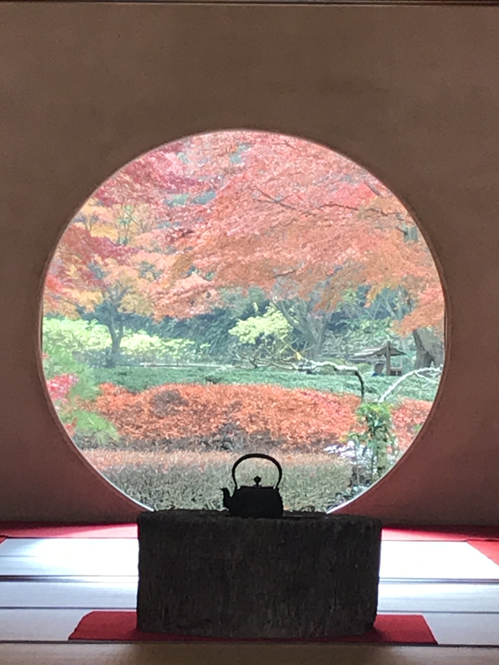 鎌倉アルプス〜紅葉〜の写真3