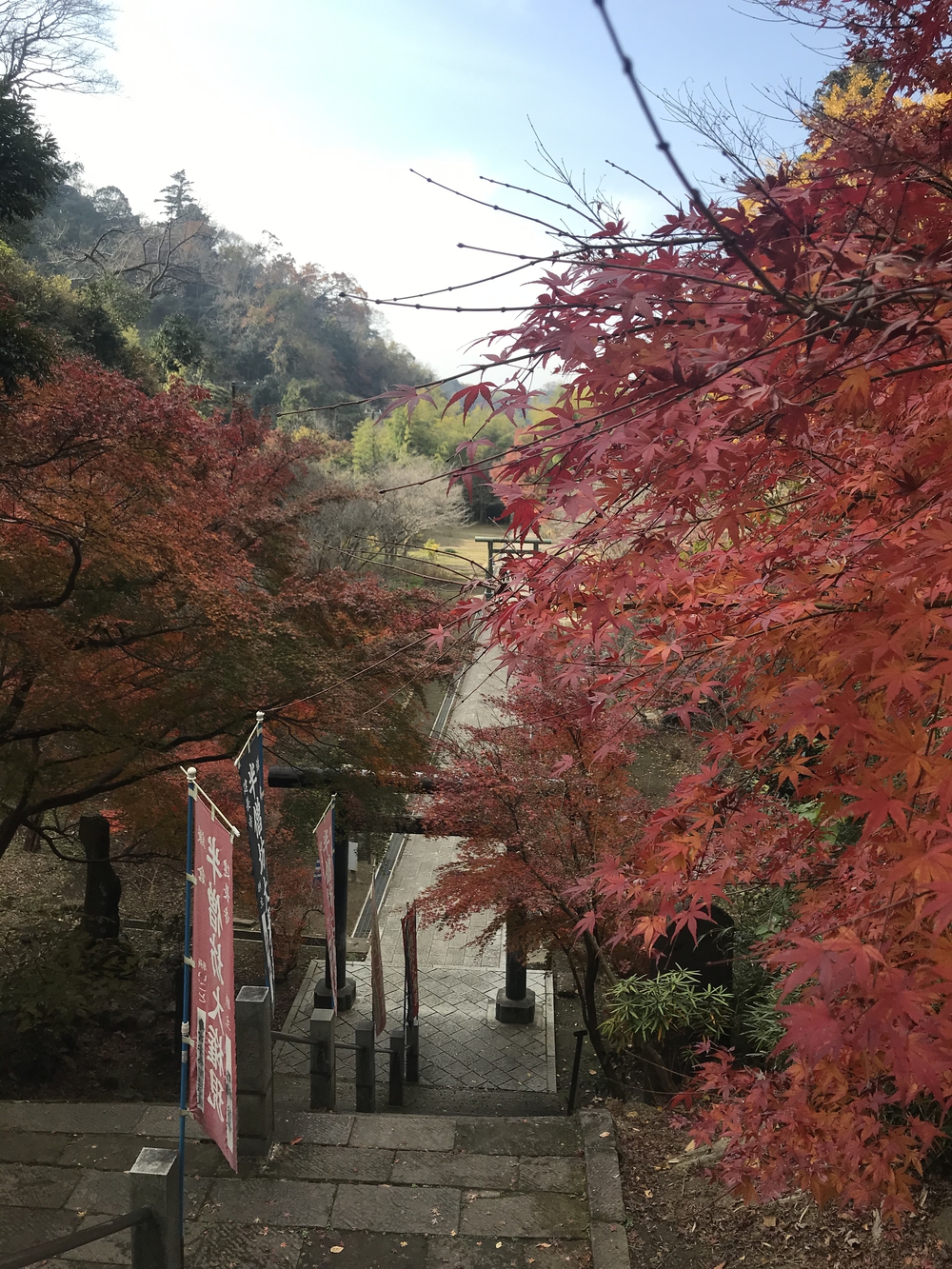 鎌倉アルプス〜紅葉〜の写真7