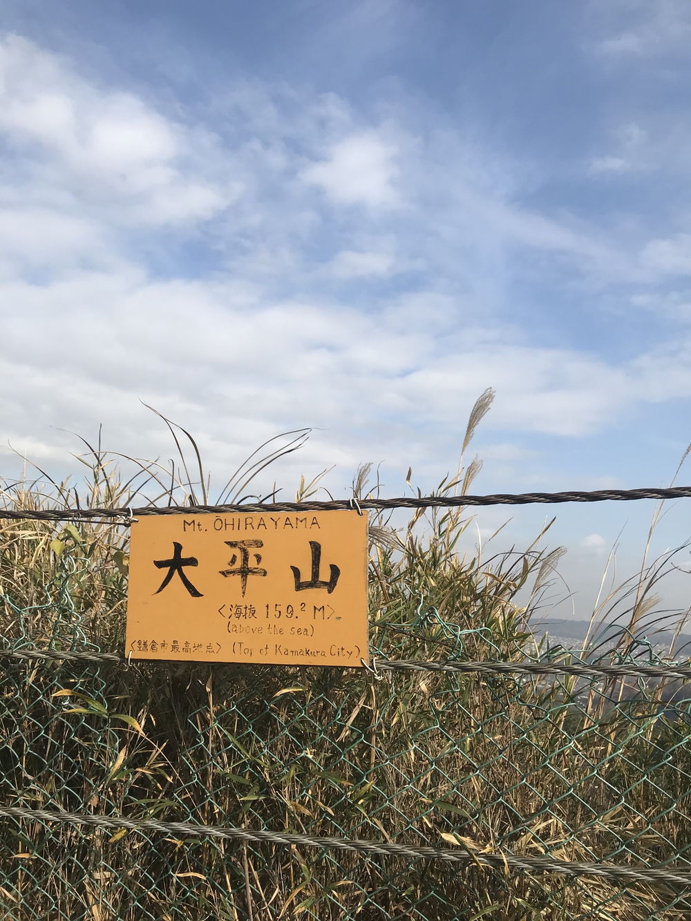 鎌倉アルプス〜紅葉〜の写真10