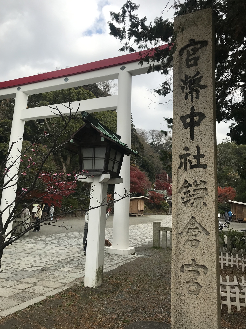 鎌倉アルプス〜紅葉〜の写真12