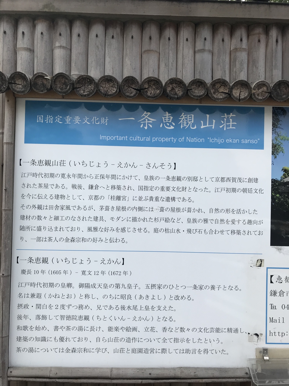 鎌倉アルプス〜紅葉〜の写真22