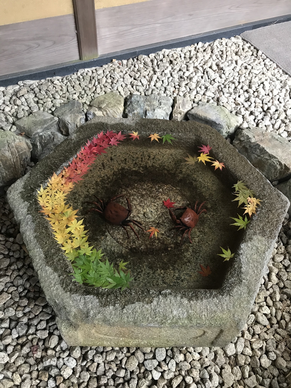 鎌倉アルプス〜紅葉〜の写真23