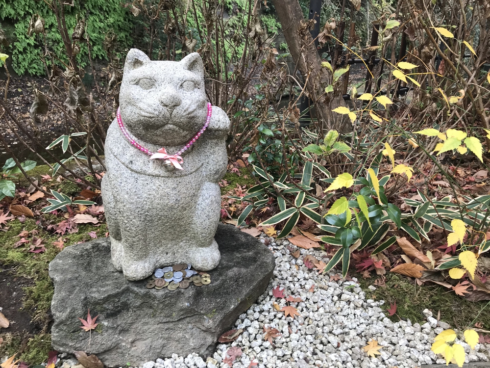 鎌倉アルプス〜紅葉〜の写真27