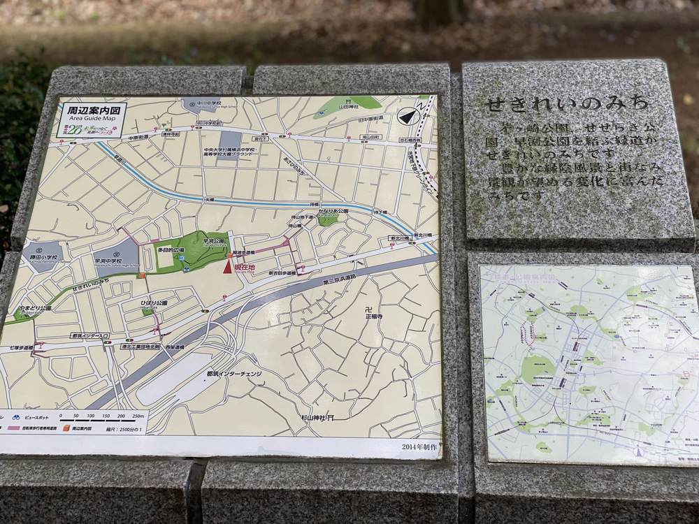 都築の緑道を走る　北〜南コース　繋げてぐるり紅葉ラン 14kmの写真6