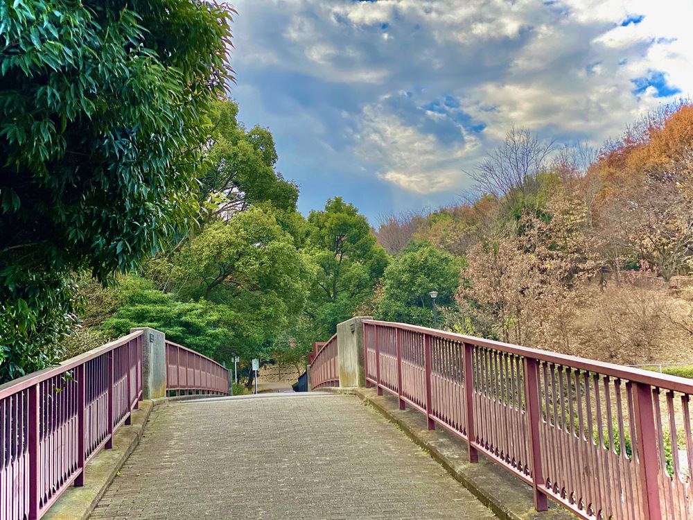 都築の緑道を走る　北〜南コース　繋げてぐるり紅葉ラン 14kmの写真7