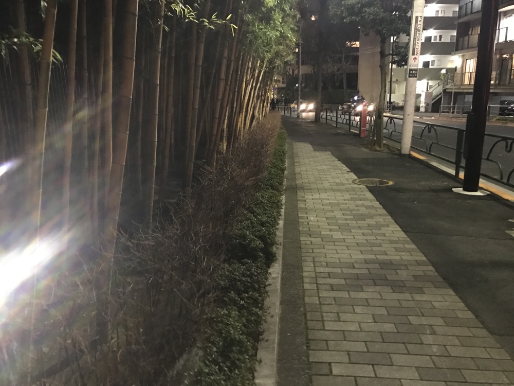 【仕事帰りRUN】青山エリア② 5.2kmの写真3