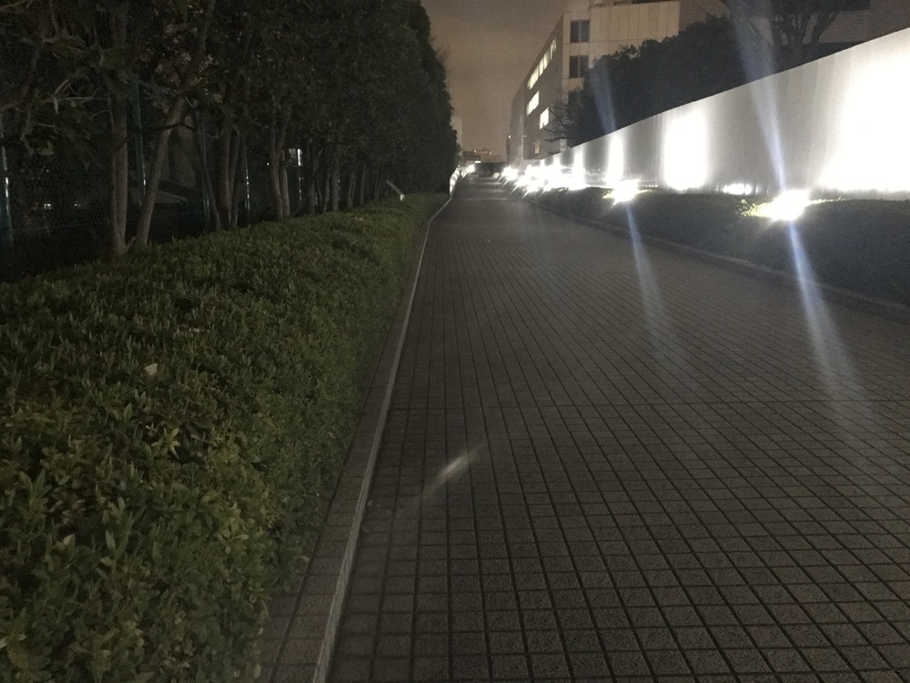 【仕事帰りRUN】青山エリア② 5.2kmの写真6