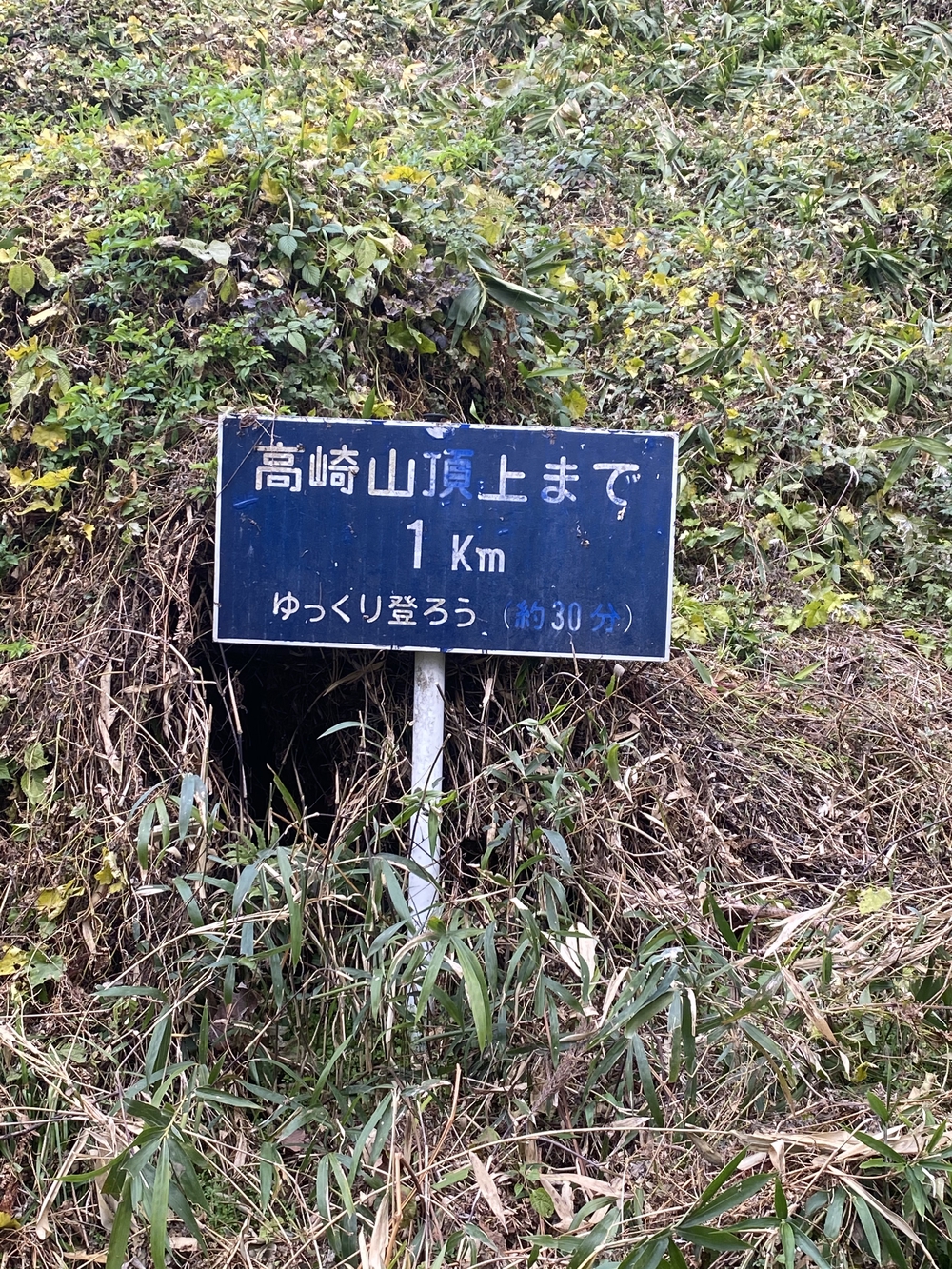 大分市街から高崎山頂へ。ゴールは別府浜脇温泉♨️の写真4