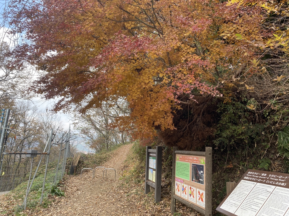 大分市街から高崎山頂へ。ゴールは別府浜脇温泉♨️の写真5