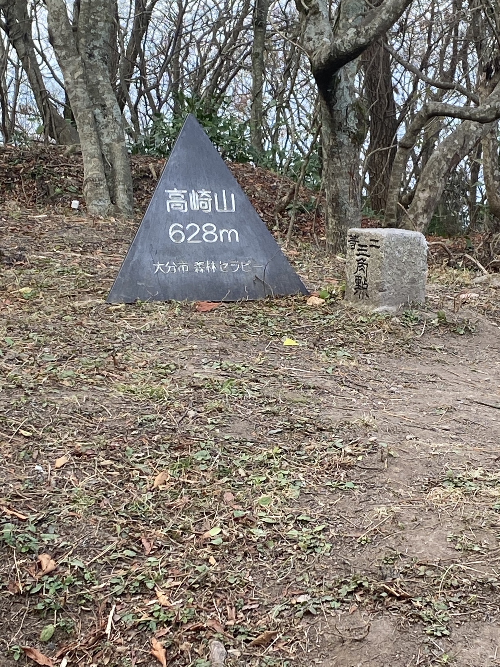大分市街から高崎山頂へ。ゴールは別府浜脇温泉♨️の写真9