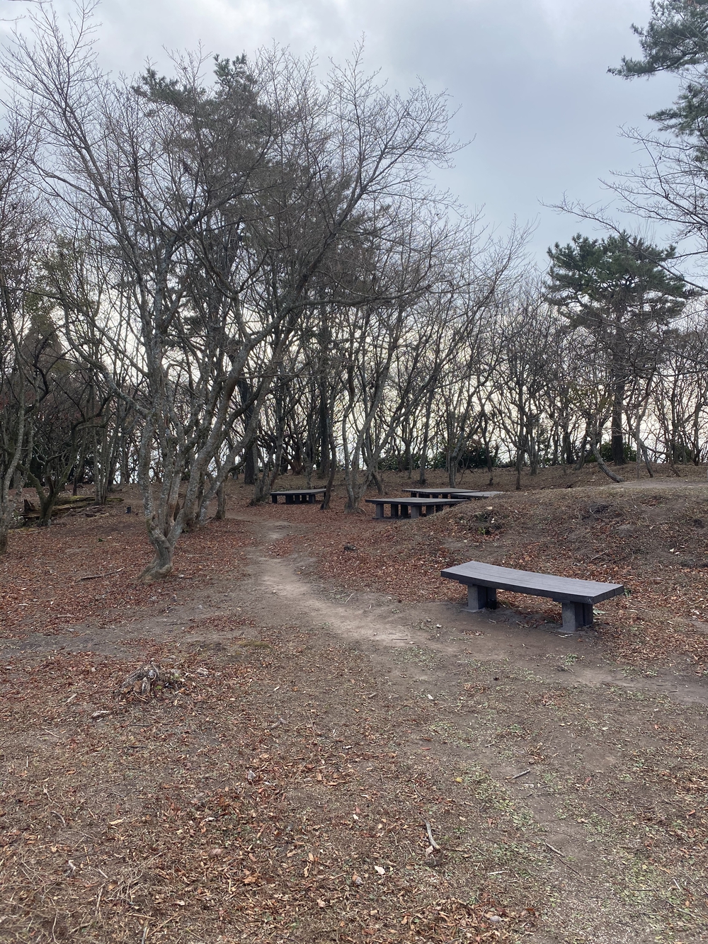 大分市街から高崎山頂へ。ゴールは別府浜脇温泉♨️の写真10