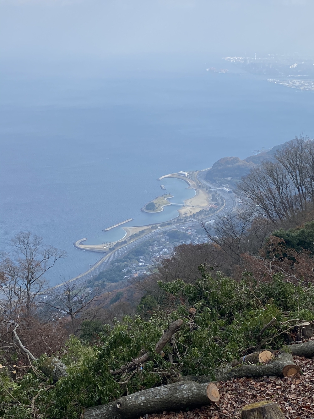 大分市街から高崎山頂へ。ゴールは別府浜脇温泉♨️の写真11