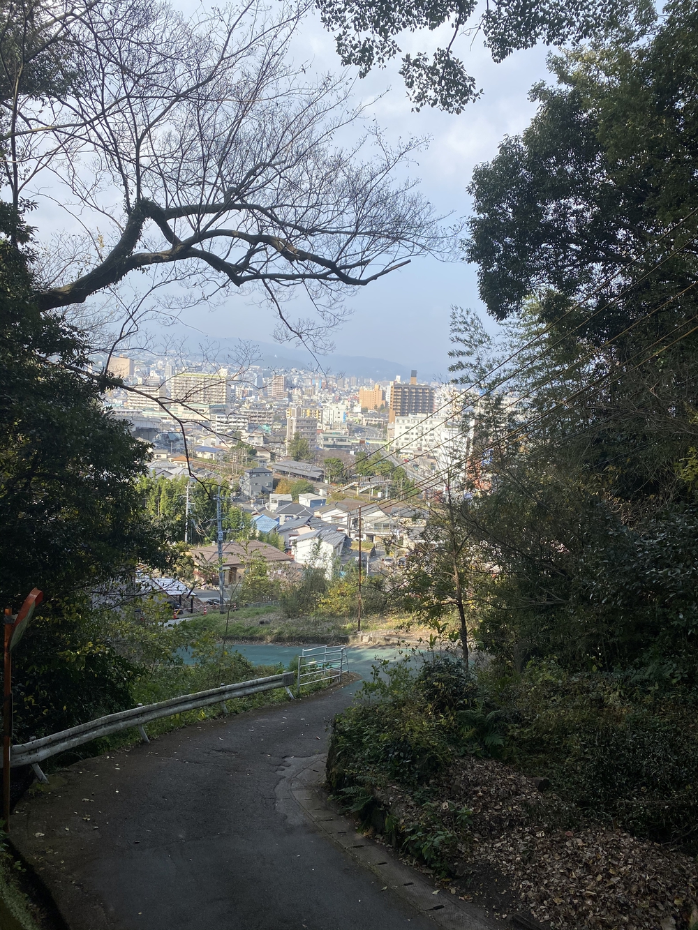 大分市街から高崎山頂へ。ゴールは別府浜脇温泉♨️の写真14
