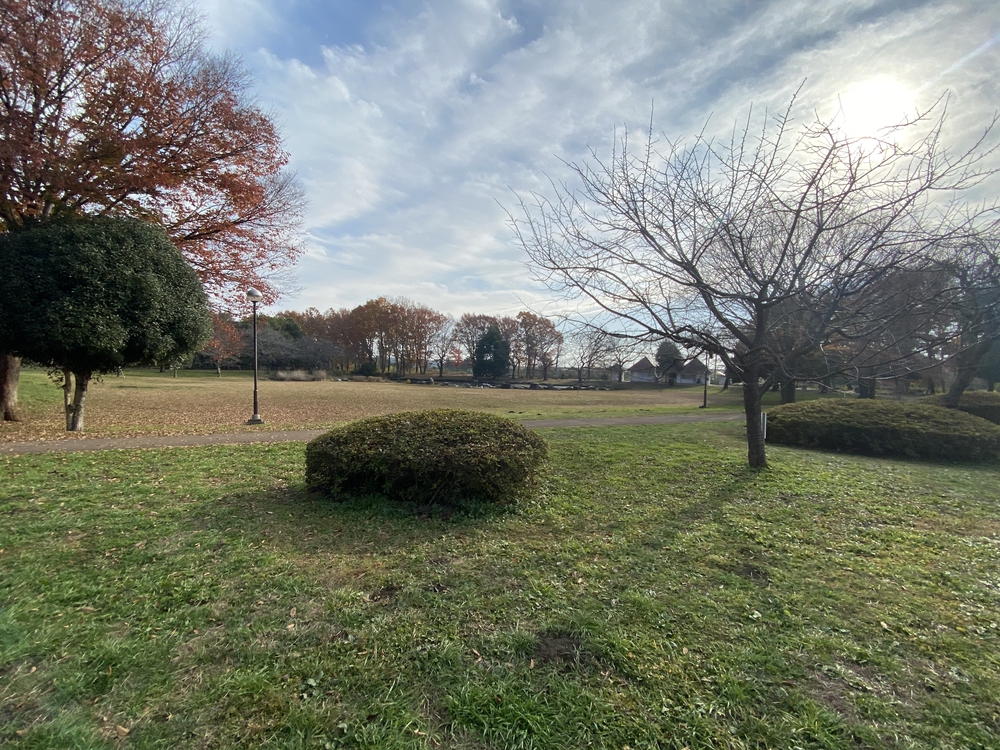 見沼たんぼ探訪（たんぼ〜）ラントリップDay１の写真3