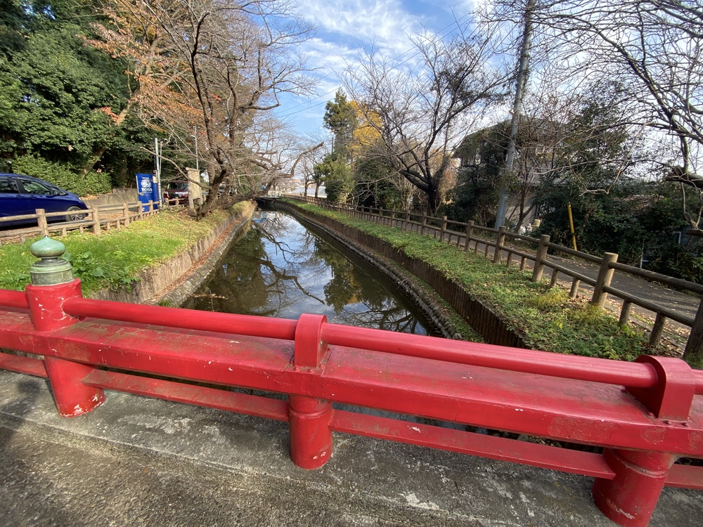 見沼たんぼ探訪（たんぼ〜）ラントリップDay１の写真4