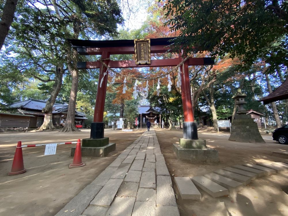 見沼たんぼ探訪（たんぼ〜）ラントリップDay１の写真5