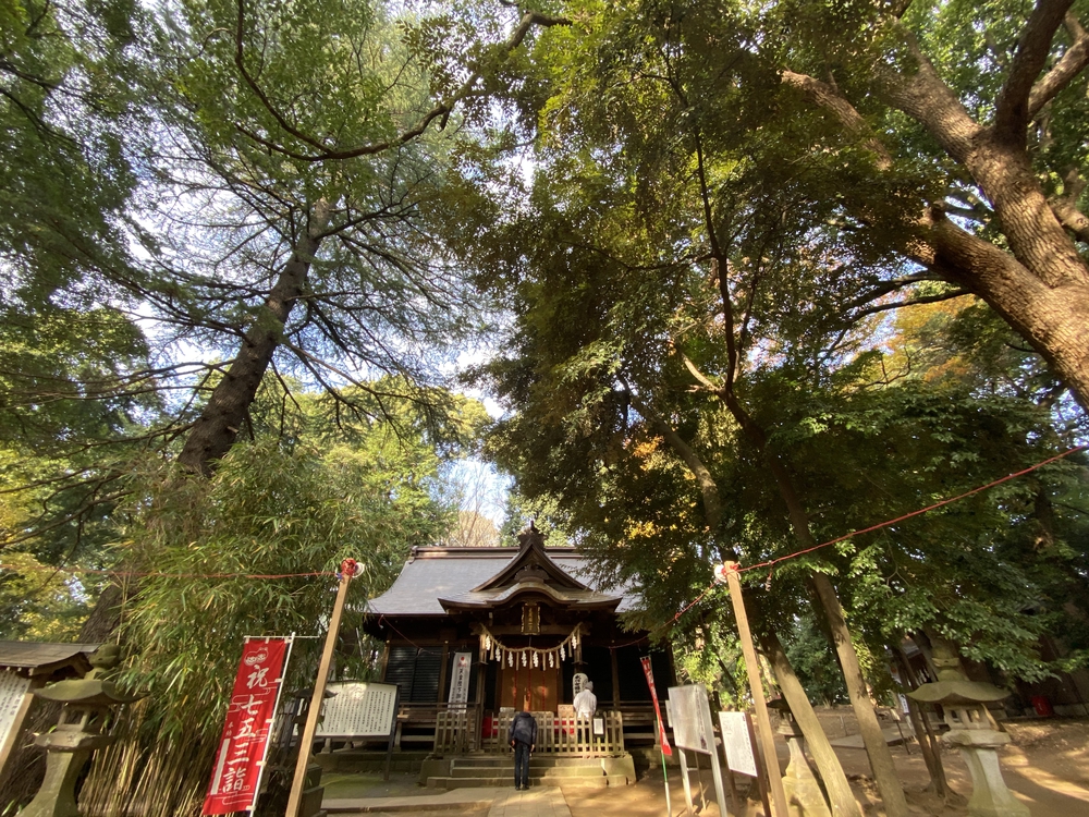 見沼たんぼ探訪（たんぼ〜）ラントリップDay１の写真6