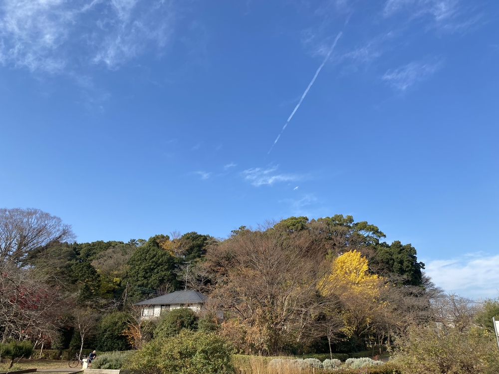 見沼たんぼ探訪（たんぼ〜）ラントリップDay１の写真9