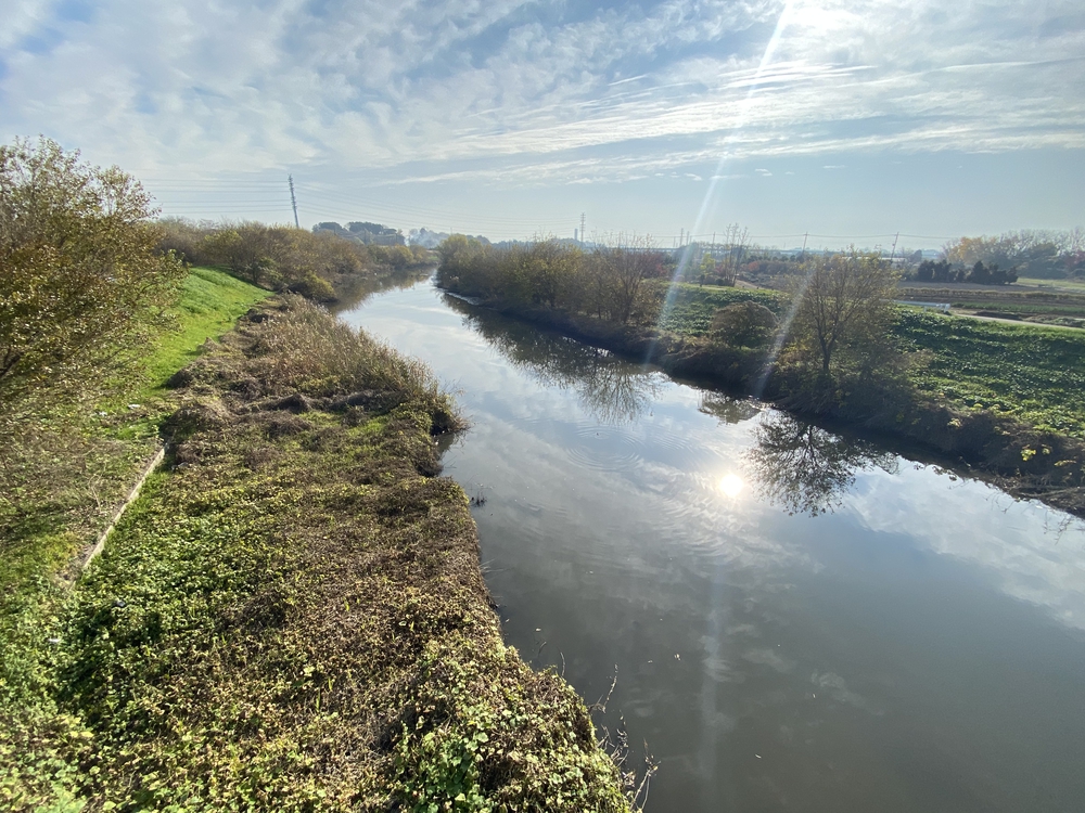 見沼たんぼ探訪（たんぼ〜）ラントリップDay１の写真13