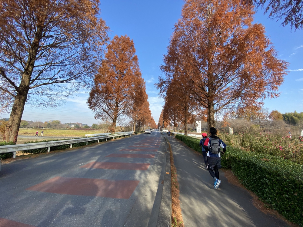 見沼たんぼ探訪（たんぼ〜）ラントリップDay１の写真14