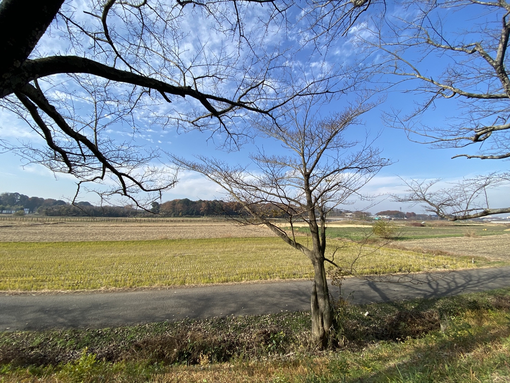 見沼たんぼ探訪（たんぼ〜）ラントリップDay１の写真16