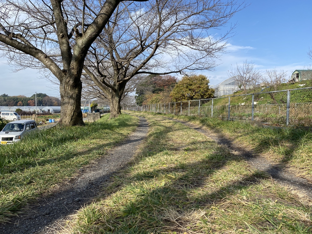 見沼たんぼ探訪（たんぼ〜）ラントリップDay１の写真18