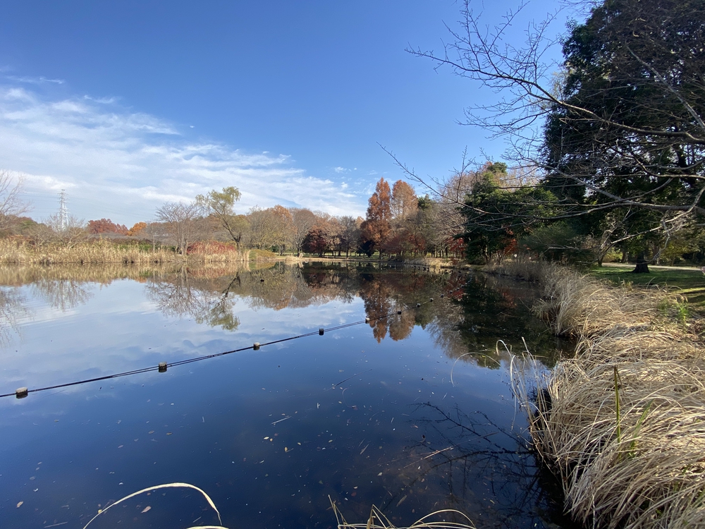 見沼たんぼ探訪（たんぼ〜）ラントリップDay１の写真21