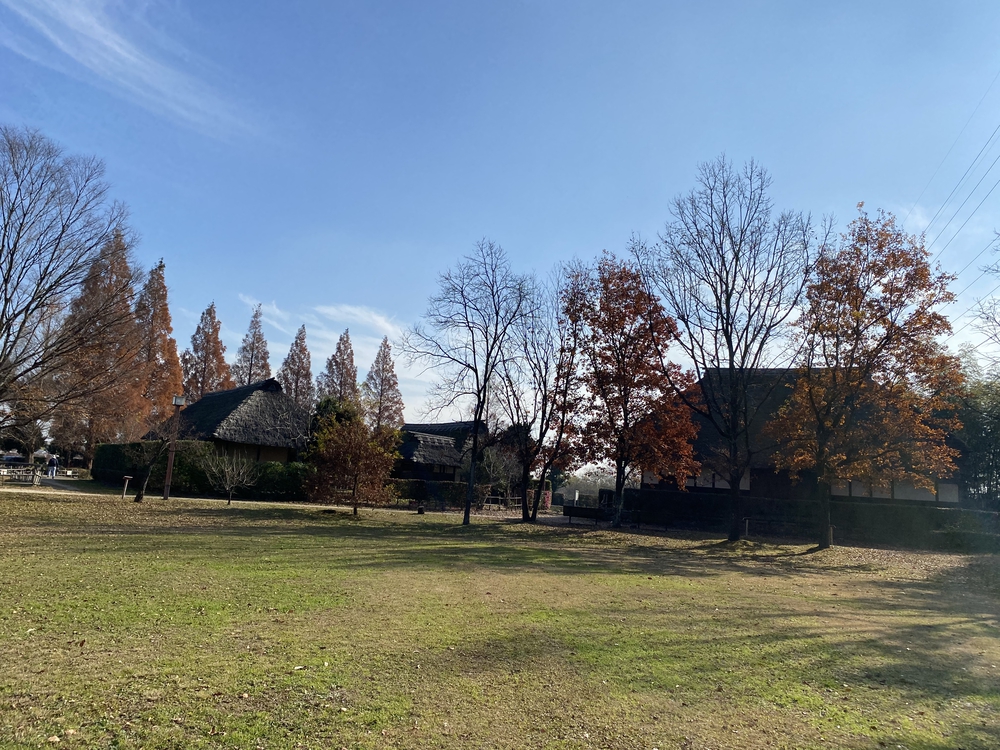 見沼たんぼ探訪（たんぼ〜）ラントリップDay１の写真25