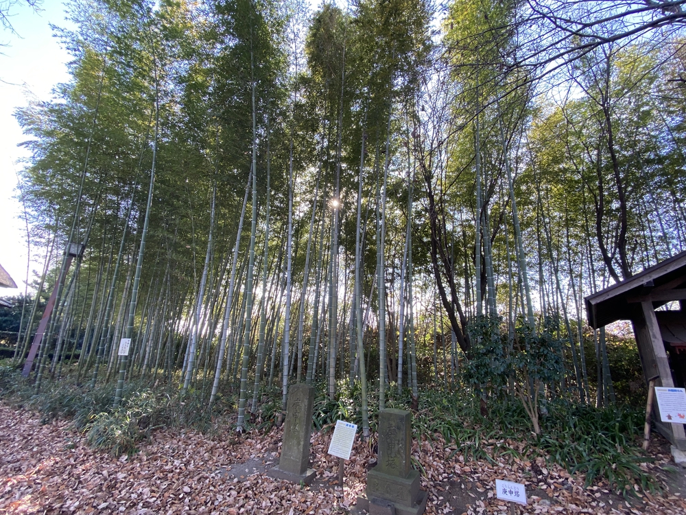 見沼たんぼ探訪（たんぼ〜）ラントリップDay１の写真26