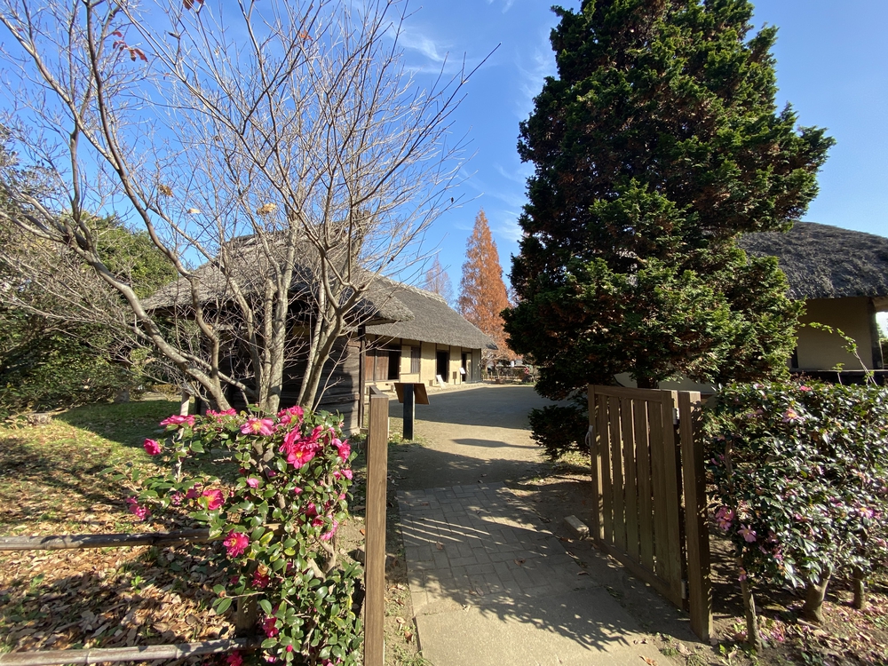 見沼たんぼ探訪（たんぼ〜）ラントリップDay１の写真27